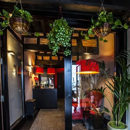 La Plaza Apartment
